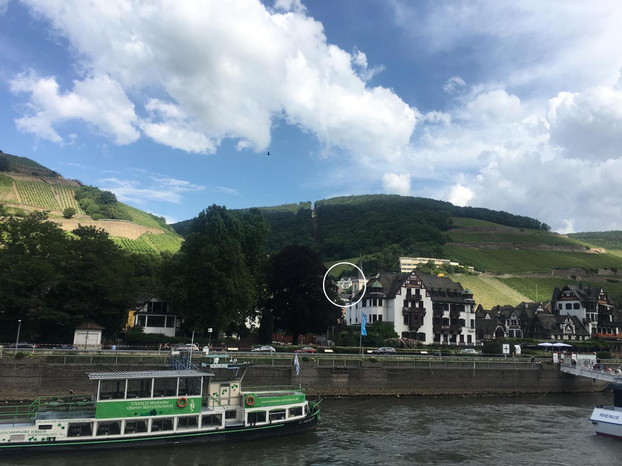 リューデスハイム・アム・ラインHaus Am Weinbergアパートメント エクステリア 写真